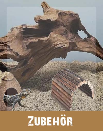 Reptilienzubehör Reptilienzubehör