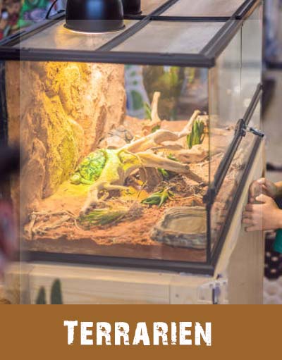 Terrarien Terrarien